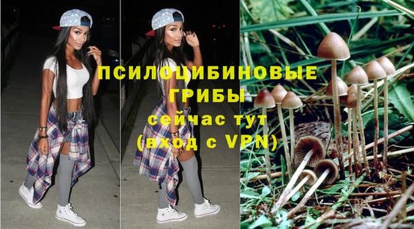 дживик Балахна