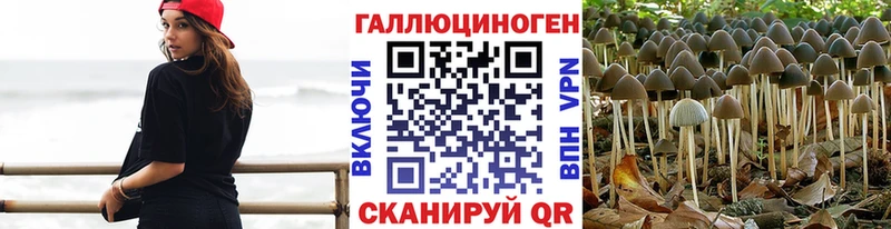 купить наркоту  Спасск  Псилоцибиновые грибы Cubensis 